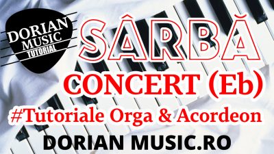 Sarba Concert - tutorial